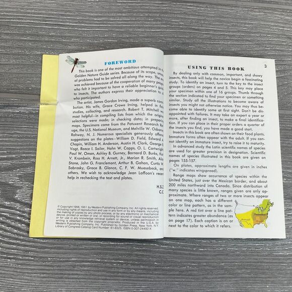 Vintage 1950s Golden Guide Insects Nature Book Detailed Realistic Illustrations - Picture 5 of 10
